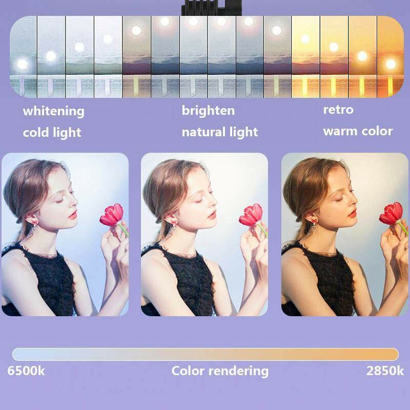 Plokama Professional LED Fill Lights