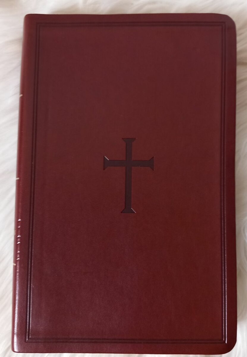 KJV HOLY BIBLE ( REFERENCE)