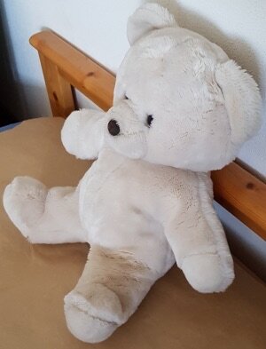 Nounours de compagnie