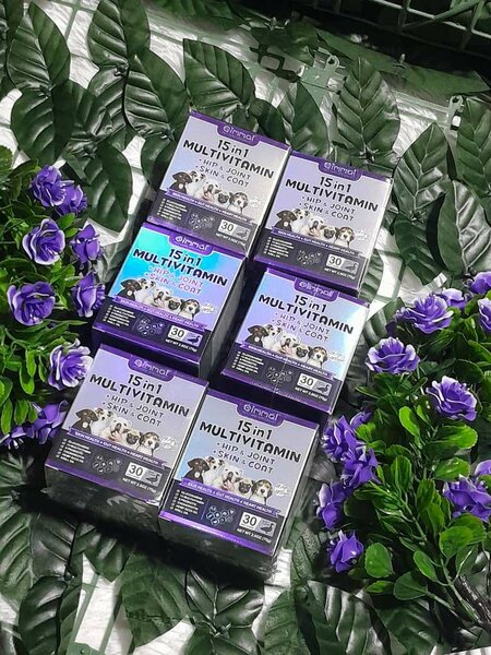 Multivitamines 15 en 1 Comprimés