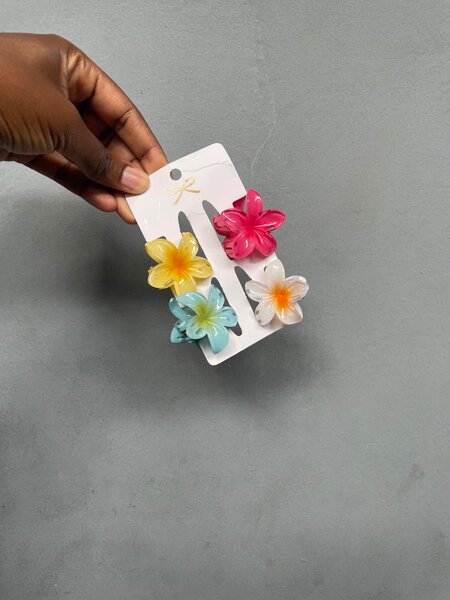 Pinces à Cheveux Fleurs Colorées