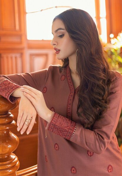 2 pcs women's unstitched Embroidered suit