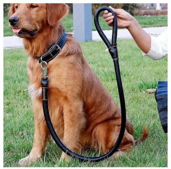 Laisse en cuir robuste pour chiens