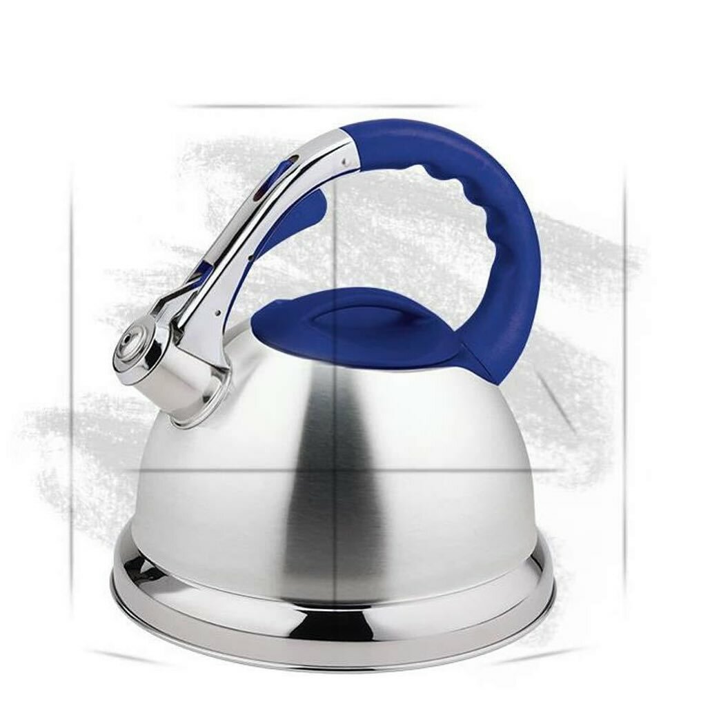 Stainless kettle for Stove tops
