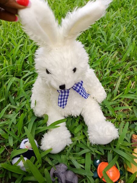 Jouet en peluche chien lapin