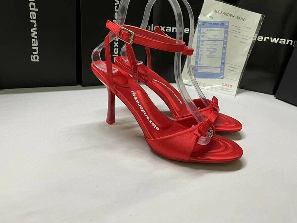 Alexander Wang heels