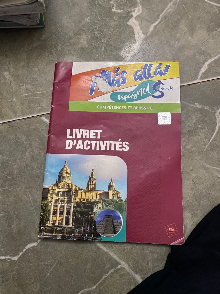 Livre d'Activités Espagnol