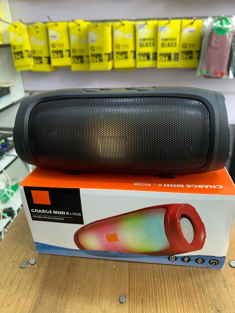 Charge mini 6+ B.T portable speaker