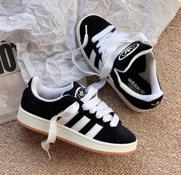 Adidas campus original