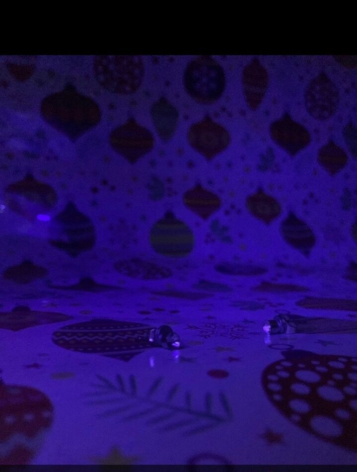 Boucles d'Oreilles aimantées