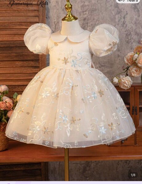 Robe Princesse Fille