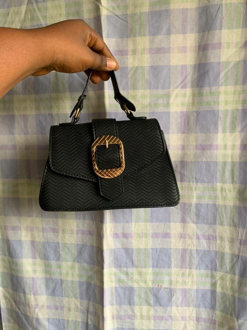 Ladies  bag