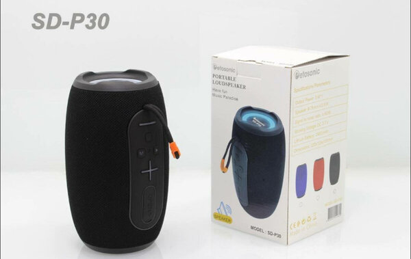 Haut-parleur portable Bluetooth