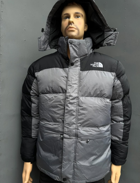 grey jacket