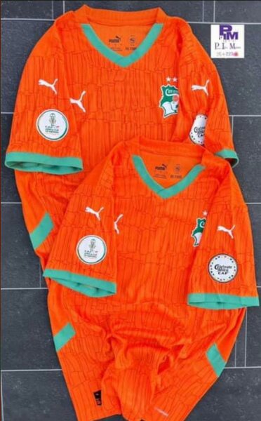 Maillot Côte d'Ivoire Puma