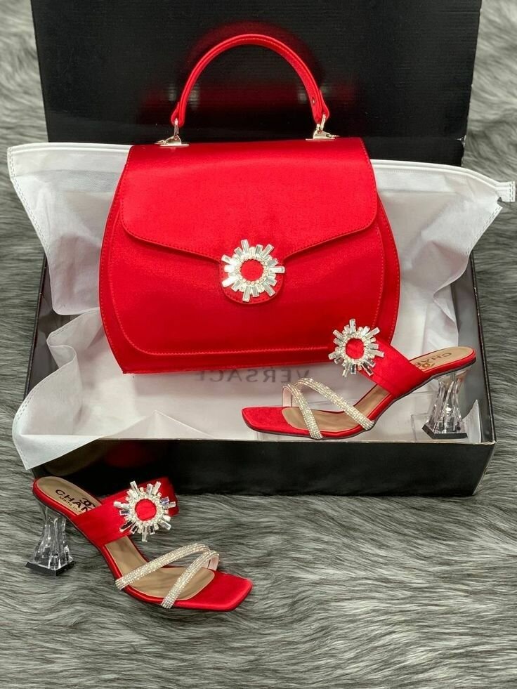 Bag and ladies shoe