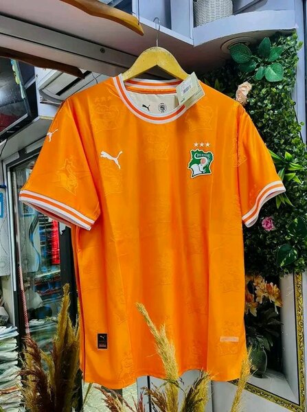 Maillot Côte d'Ivoire Puma