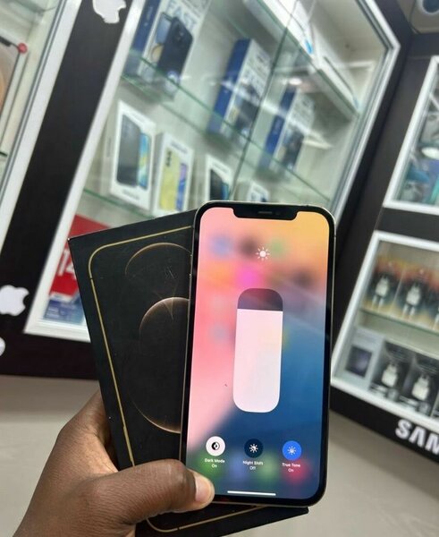 iPhone 12 Pro Max 256GB