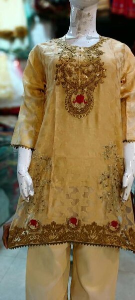 Ladies fancy suit