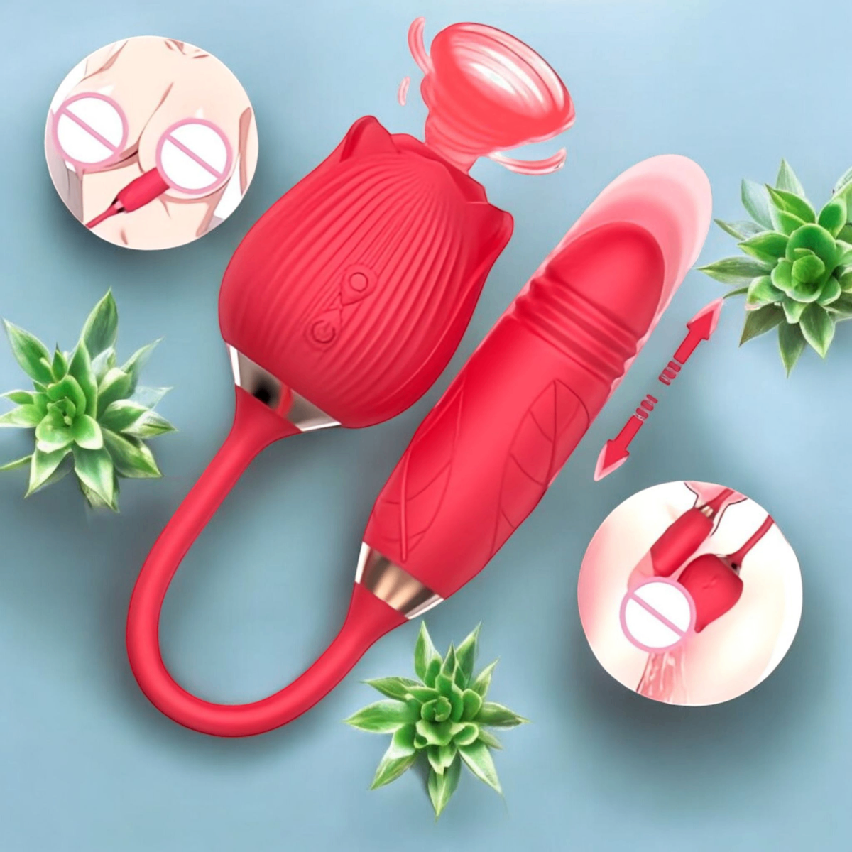 Vibro Succion & Pénétration