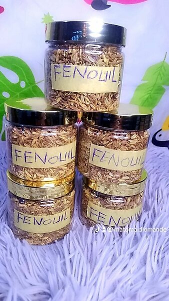Graines de Fenouil en Pot