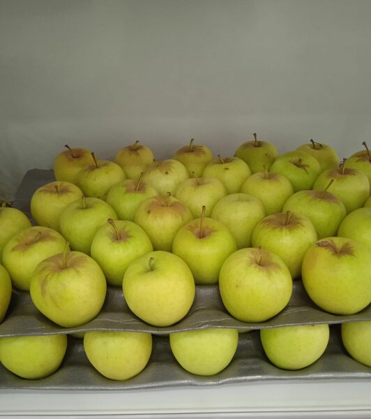 Pommes Golden 3 à 500 f