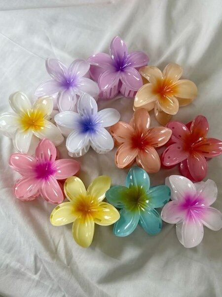 Pinces à cheveux fleurs colorées