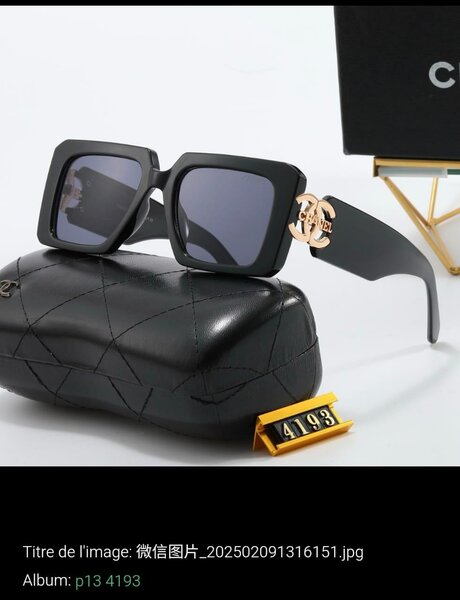 Lunettes de soleil élégantes