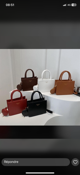 Sac à main élégant pour femme