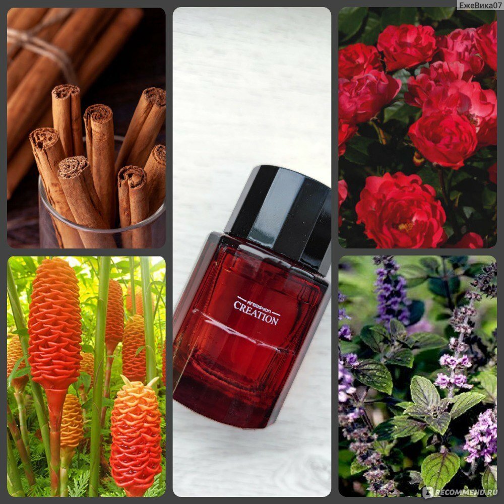 Parfum Création 4154