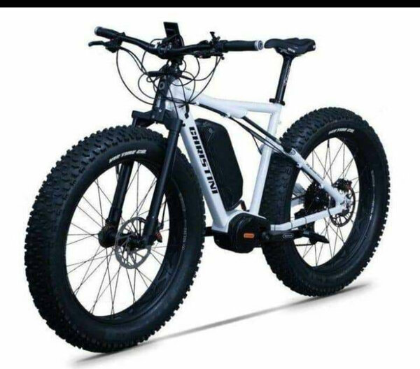 Vélo Électrique Fat Bike Électrique