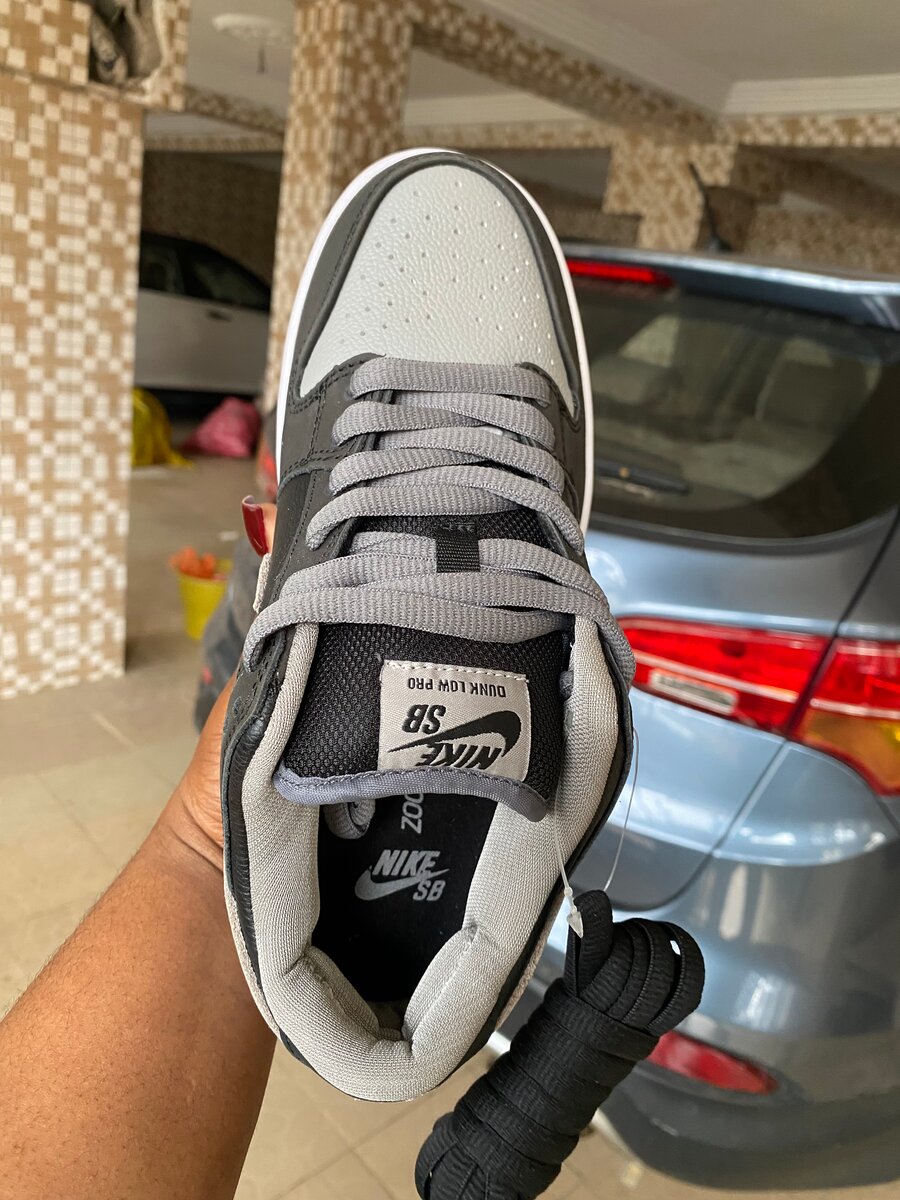 Nike SB Dunk Low Pro Grise