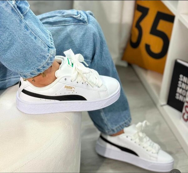 Puma puma