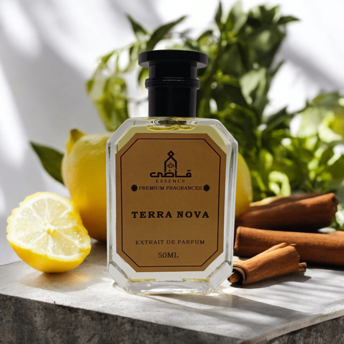 Tera Nova - Impression of Safari by Ralph Lauren