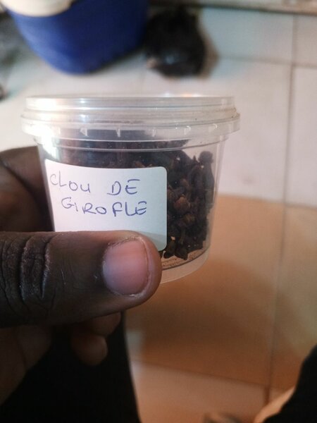 Clou de girofle