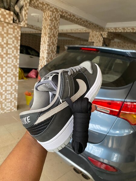 Nike SB Dunk Low Pro Grise