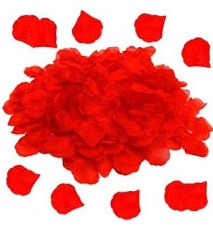 300 Pétales Artificielles