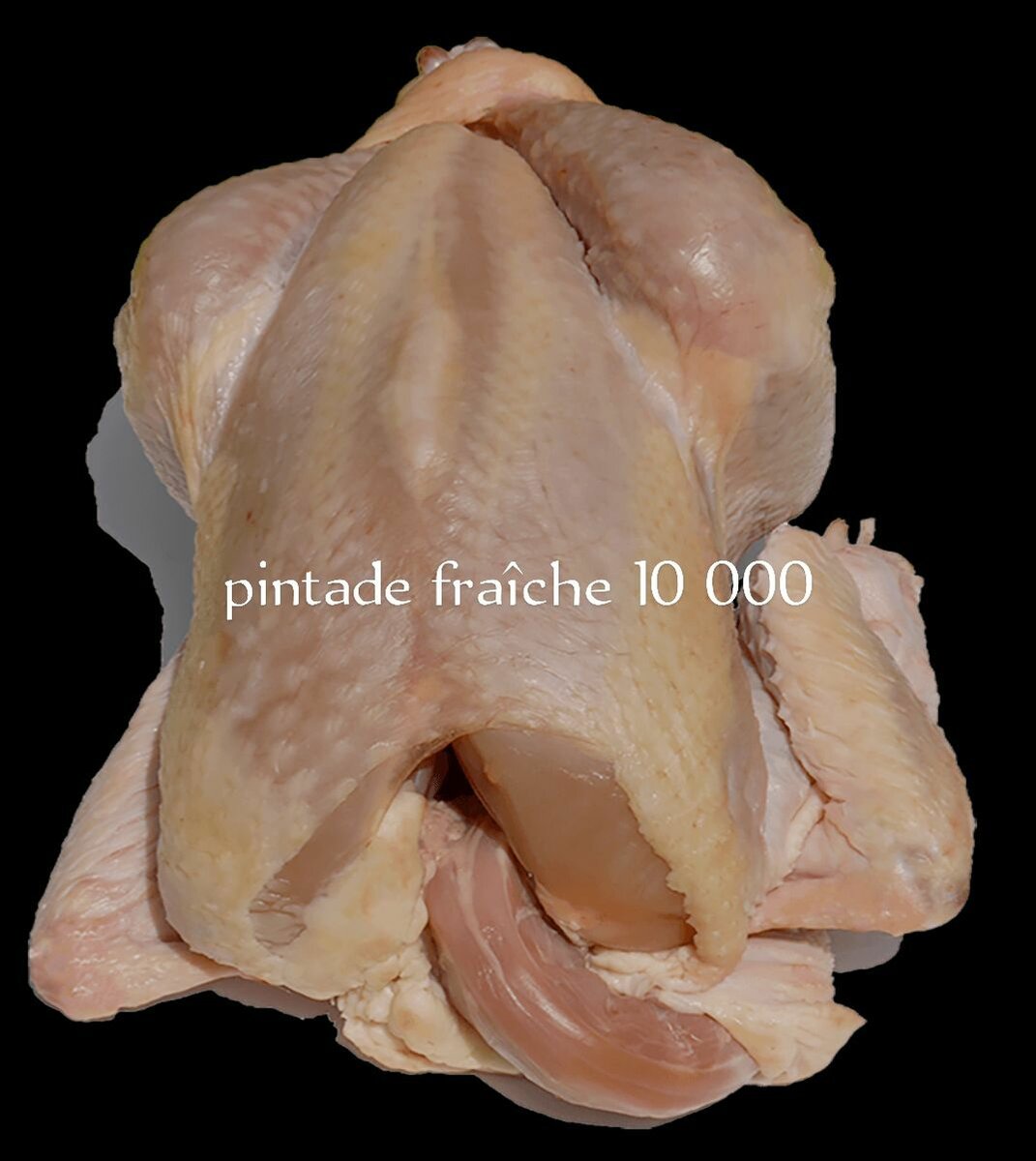 Volaille fraîche Pintade