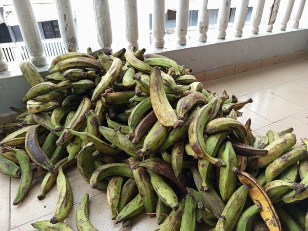 Banane plantain