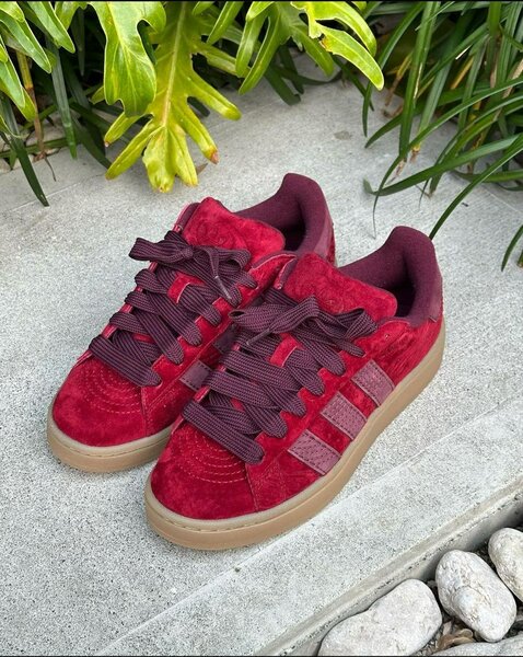 ADIDAS CUMPUS RED