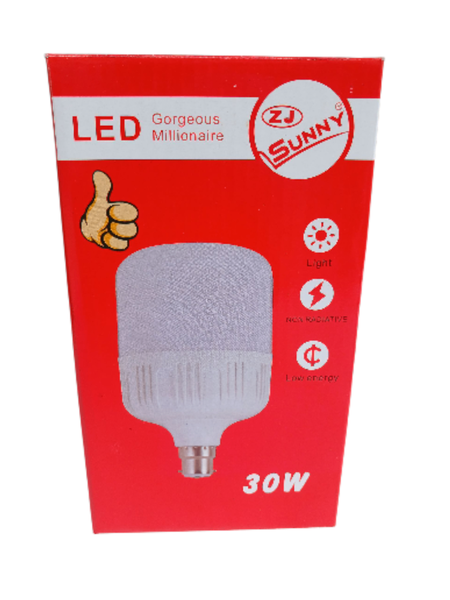 Ampoule LED 30W Sunny