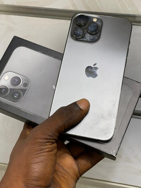iPhone 13 Pro Max 256Go