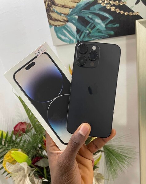 iPhone 14 Pro Max 256 Go