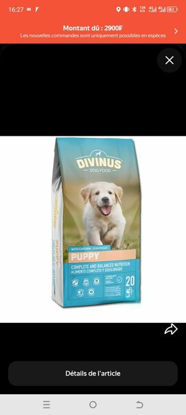 DIVINUS PUPPY 20kg pour chiot