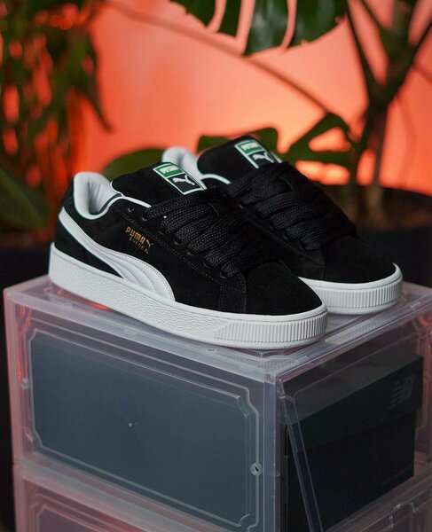 𝓛’𝓔́𝓛𝓔́𝓖𝓐𝓝𝓒e