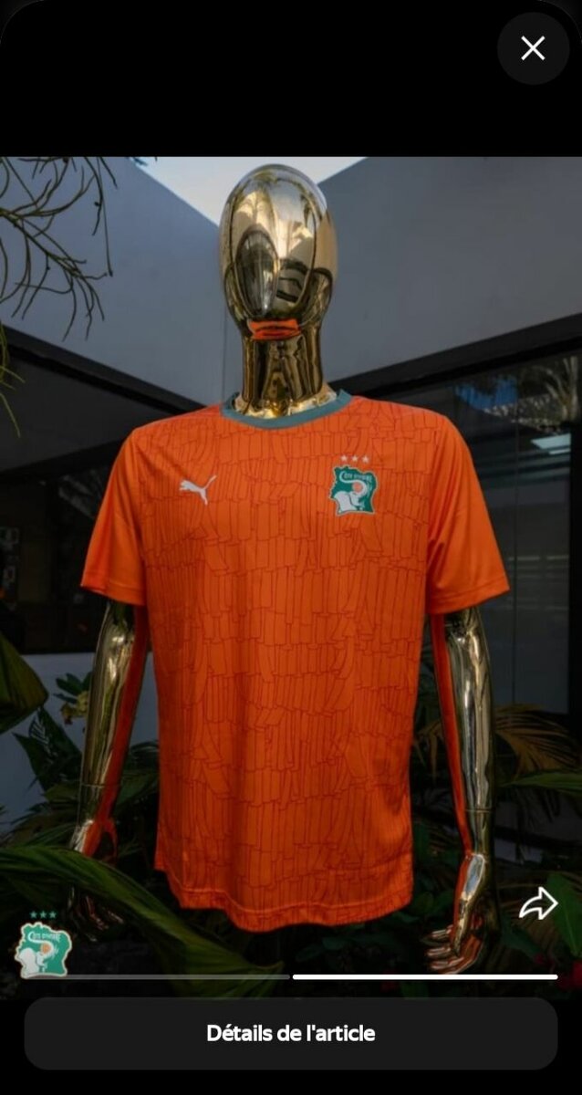 Maillot Côte d'Ivoire Puma