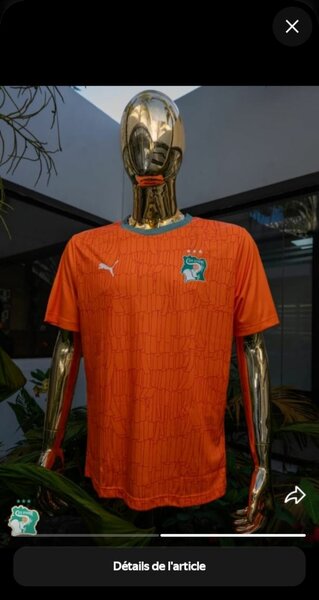Maillot Côte d'Ivoire Puma
