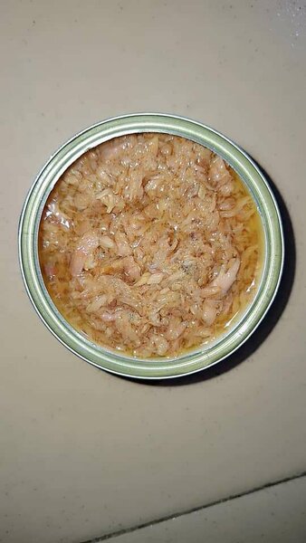 Thon en boîte savoureux