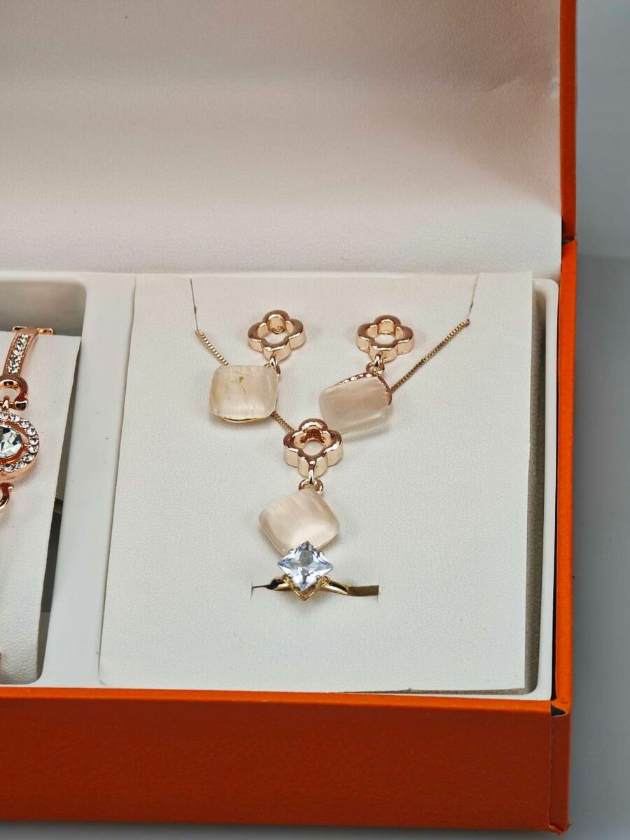 Ensemble Montre et Bijoux Élégant