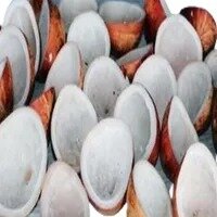 Dry Coconut Copra 100Grm